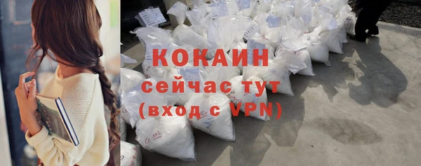 дурь Пестово