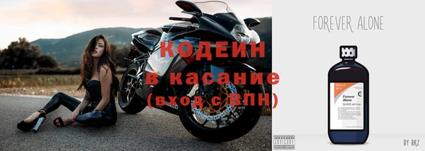 дурь Пестово