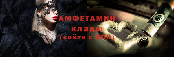 дурь Пестово