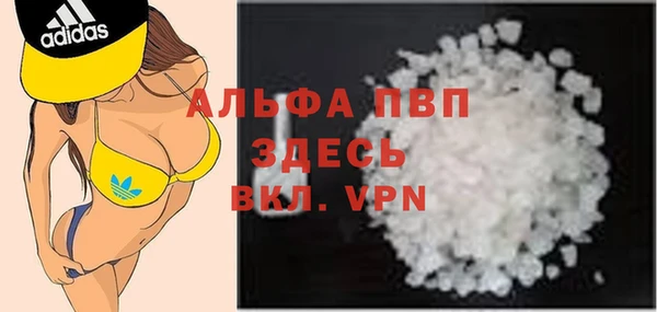 прущие грибы Переславль-Залесский