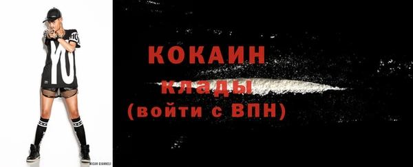 дурь Пестово