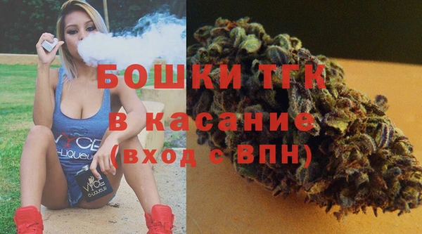 дурь Пестово
