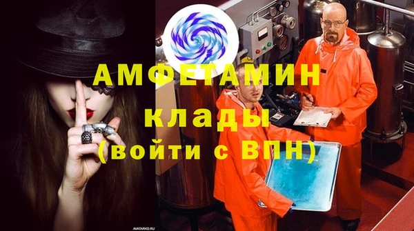 дурь Пестово
