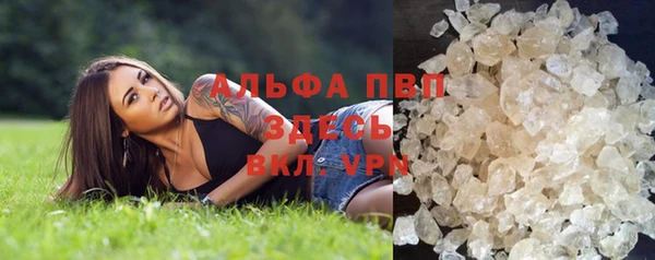 прущие грибы Переславль-Залесский