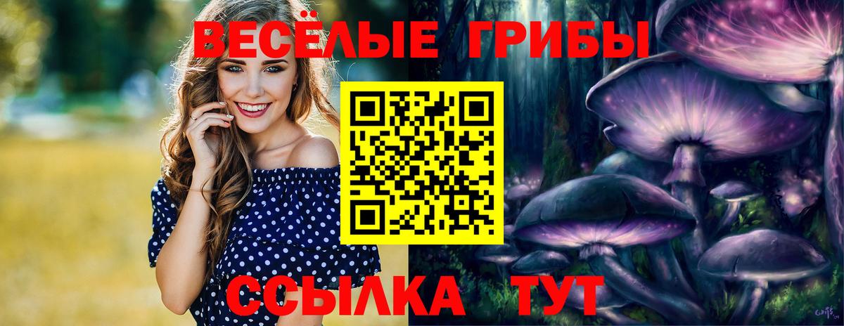 Псилоцибиновые грибы GOLDEN TEACHER Красноперекопск