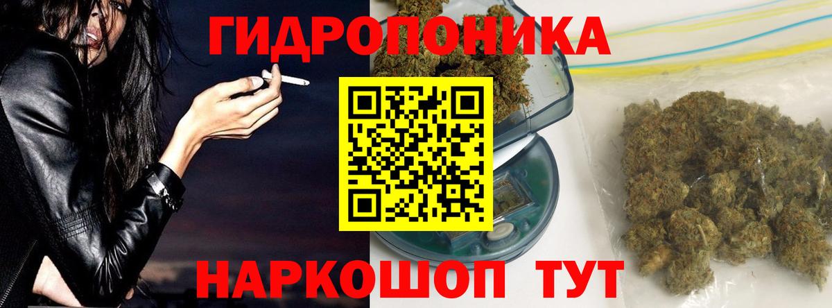 Каннабис план  Шишки марихуана Bruce Banner  Красноперекопск  Марихуана конопля  Канабис марихуана  Вход с VPN 